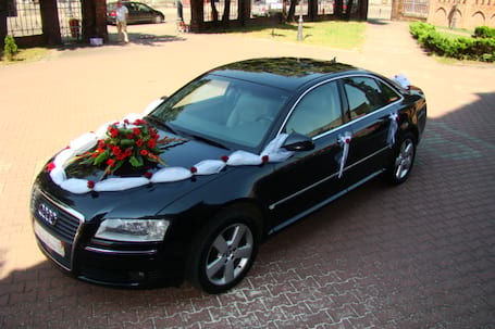 Firma na wesele: Omega Bis