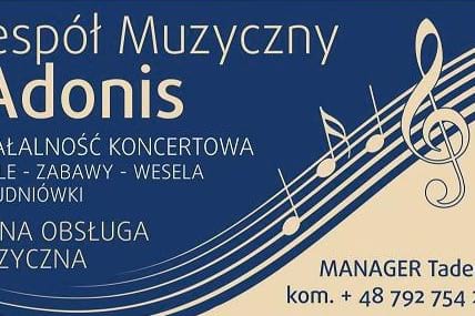 Firma na wesele: Zespół Muzyczny Adonis Lubin