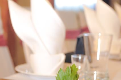 Firma na wesele: RESTAURACJA I HOTEL PANORAMA