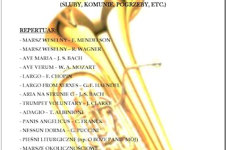Firma na wesele: Carpathian Brass