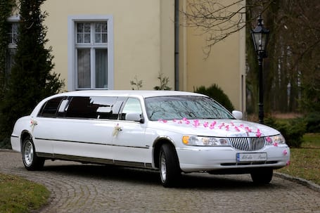 Firma na wesele: VIP-LIMO Wynajem limuzyn