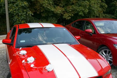 Firma na wesele: Ford Mustang V