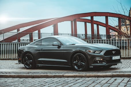 Firma na wesele: MUSTANG