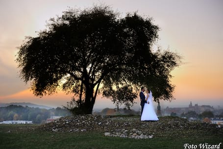 Firma na wesele: Foto Wizard