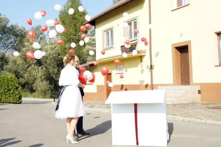 Firma na wesele: Balony z Helem  Foto budka Animator