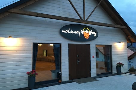 Firma na wesele: Sala bankietowa "Malinowy Raj"