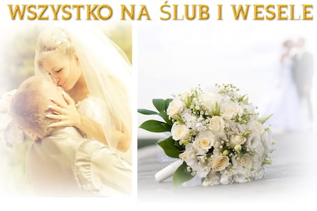 Firma na wesele: AMT-PARTY
