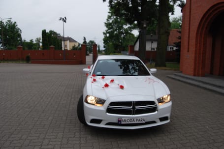 Firma na wesele: Dodge
