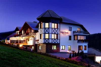 Firma na wesele: Hotel DZIKI POTOK ***