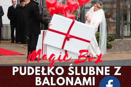 Firma na wesele: Pudełko z balonami LED/hel