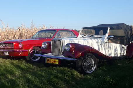 Firma na wesele: Mustang 1966 - 2018