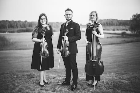 Firma na wesele: BBK - Trio