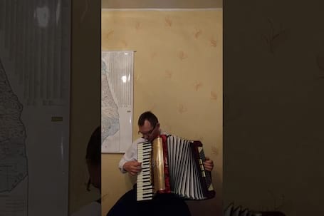 Firma na wesele: Akordeonista na wesele