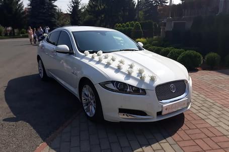 Firma na wesele: JAGUAR XF