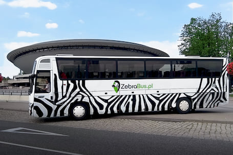 Firma na wesele: ZebraBus