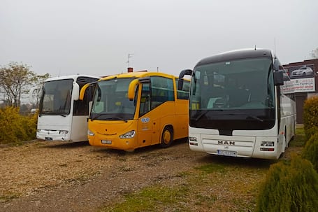 Firma na wesele: Progress Travel