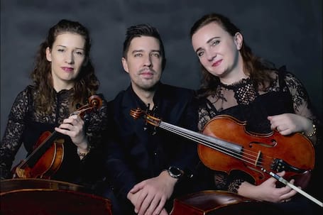 Firma na wesele: Vision Trio
