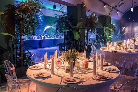 Firma na wesele: NUTRI Wedding