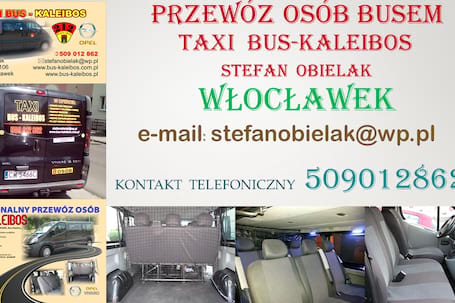 Firma na wesele: Przewóz Osób Busem,Taxi XL Włocławek