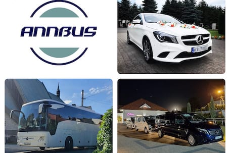 Firma na wesele: ANNBUS