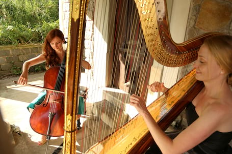 Firma na wesele: Wiolonczela i harfa
