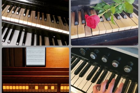 Firma na wesele: Oprawa muzyczna ślubu - organista