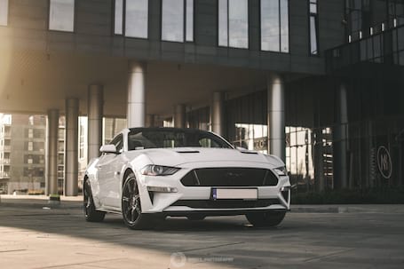 Firma na wesele: Ford Mustang GT 2019