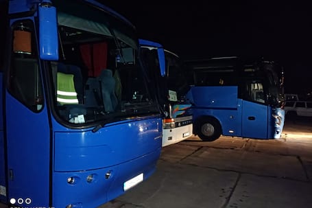 Firma na wesele: MASZ BUS - Wynajem autokarów