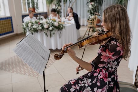 Firma na wesele: Violino d'Amore
