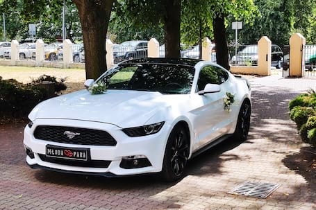 Firma na wesele: MUSTANG