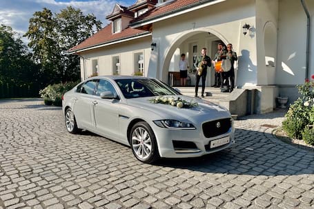 Firma na wesele: Jaguar
