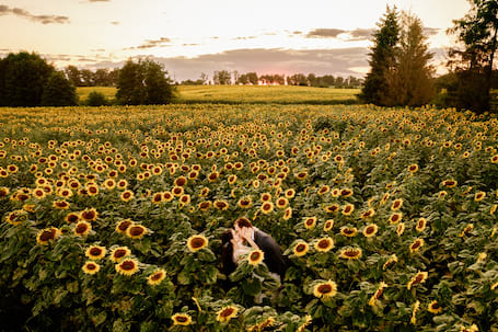 Senetra fotografia i filmowanie