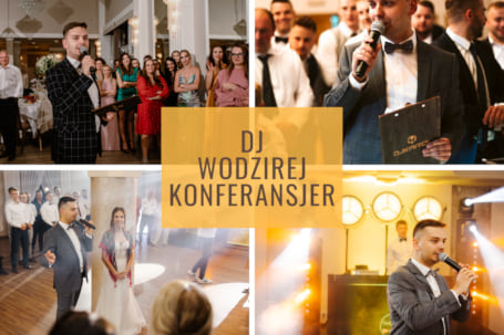 Firma na wesele: Dj Karol - Dj / Wodzirej na wesele!