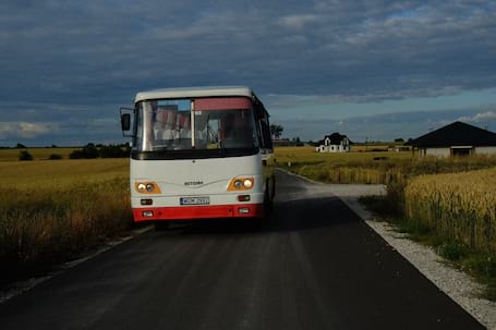Firma na wesele: Patobus - zabytkowe autobusy