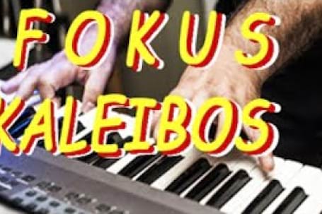 Firma na wesele: FOKUS - KALEIBOS