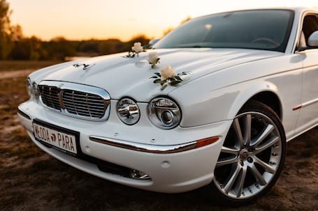 Firma na wesele: Jaguar