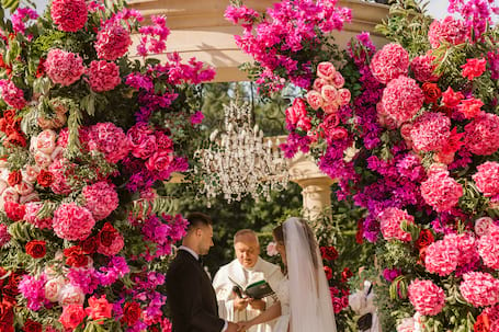 Butterfly Wedding