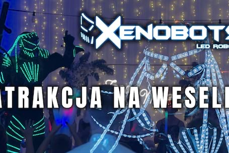 Firma na wesele: Roboty Ledowe - Xenobots