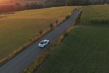 Firma na wesele: Alfa Romeo Giulia na wesele | ślub