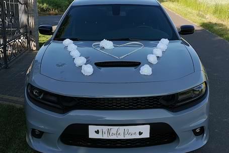 Firma na wesele: DODGE CHARGER