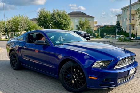 Firma na wesele: Ford