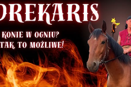 Firma na wesele: DREKARIS