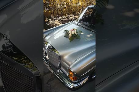 Firma na wesele: Mercedes W108