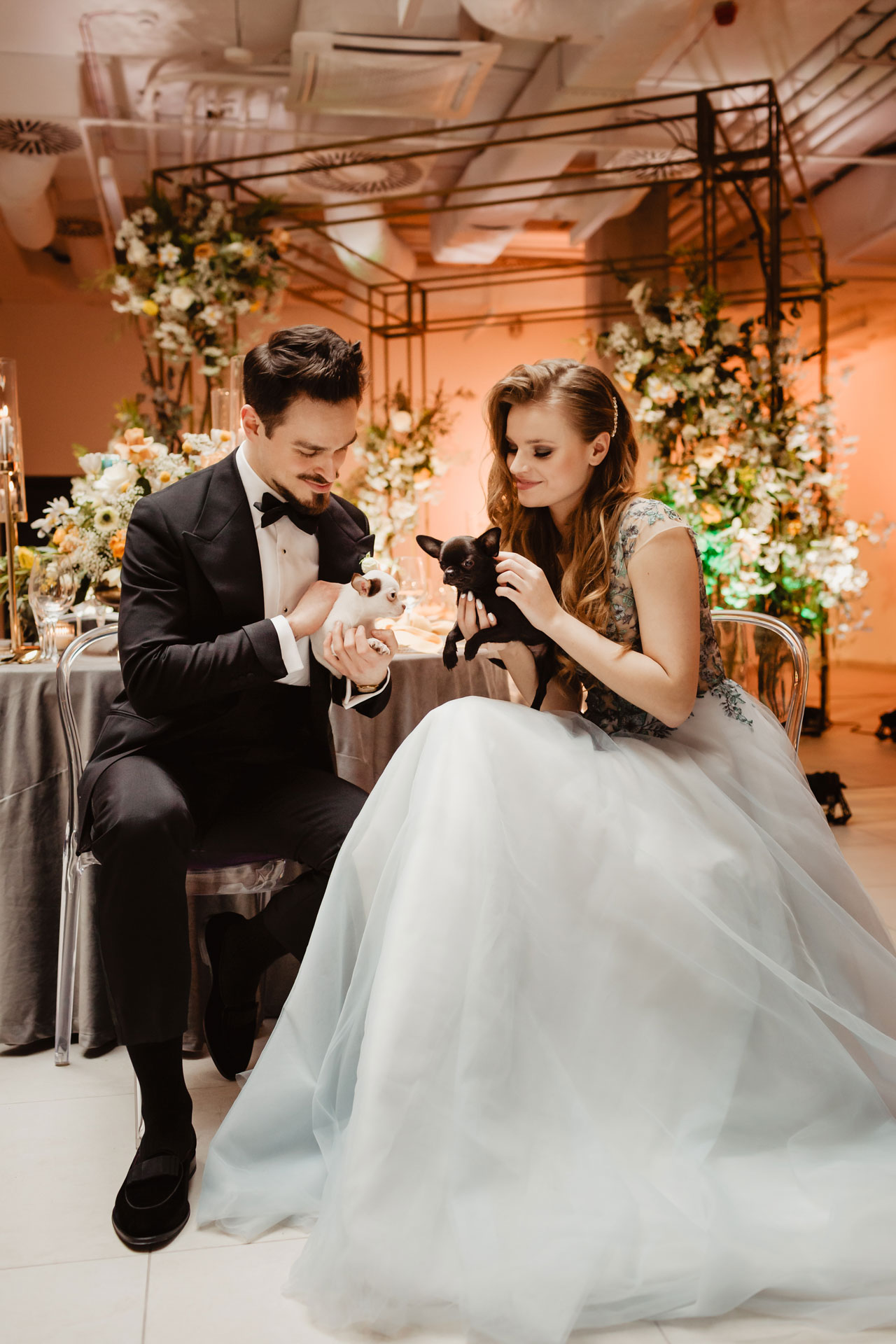 Elegancka Panna Młoda w szzrej sukni ślubnej z rozpuszczonymi włosami, pan Młody w smokingu trzymają szczeniaki na kolanach