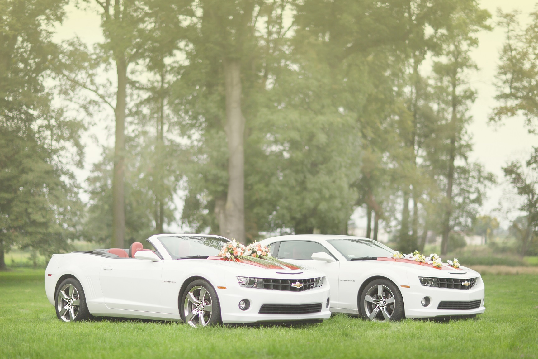 CAMARO DO ŚLUBU sportowe auto do ślubu