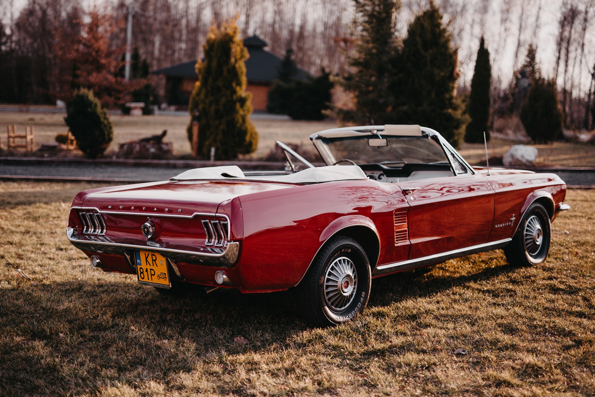 zabytkowy samochód do ślubu ford mustang