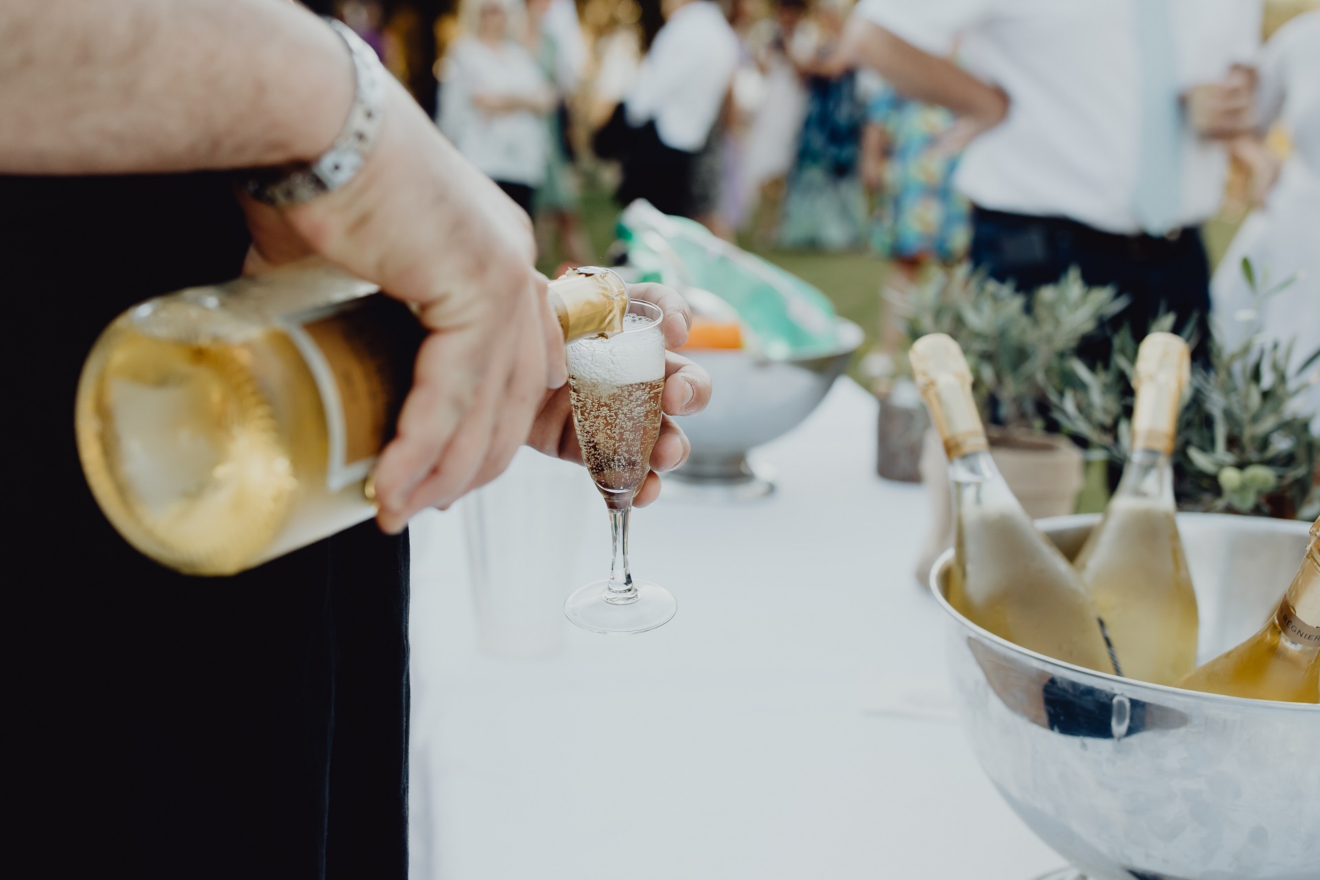 toast z wina na weselu koszty wesela